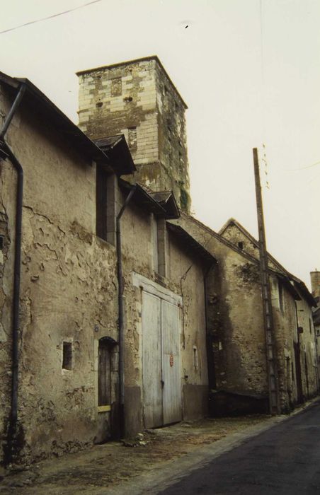 Ensemble castral : Tour carrée, vue partielle