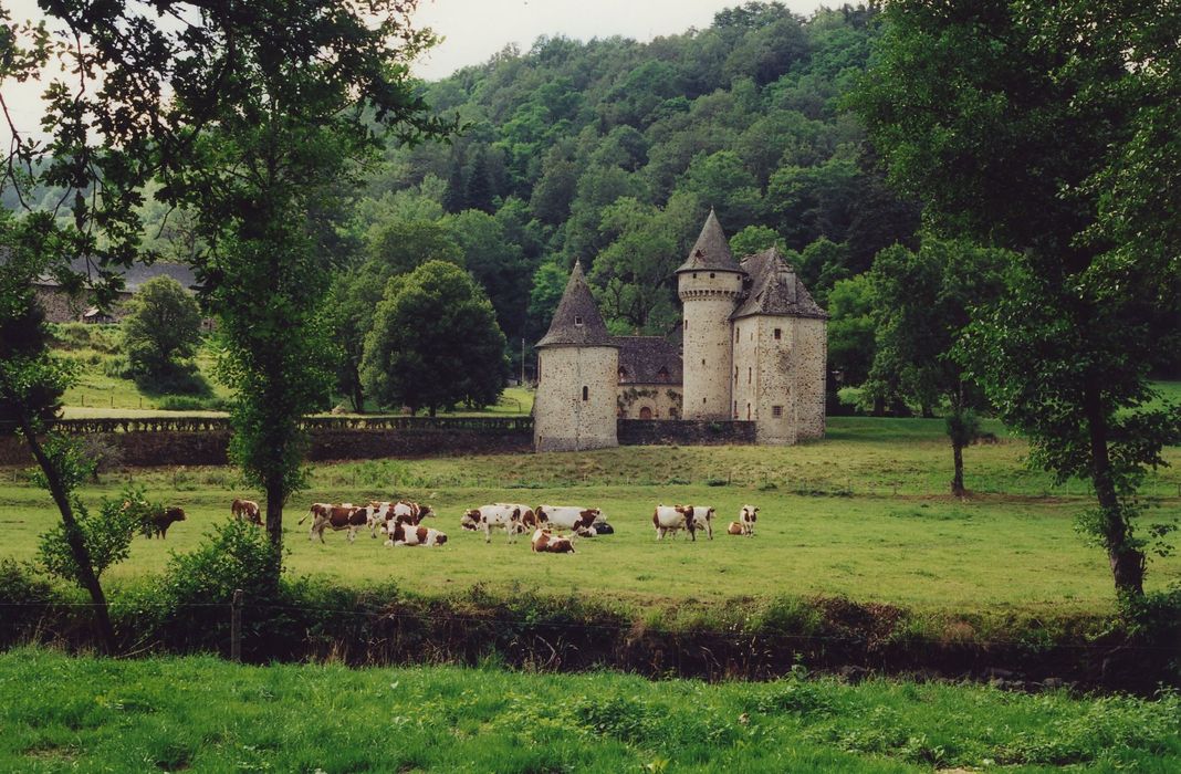 Château de Vals : Vue générale du château dans son environnement depuis l’Est