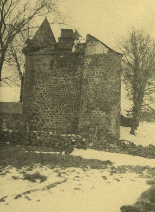 Château de Peyrelade : Façade est, vue générale