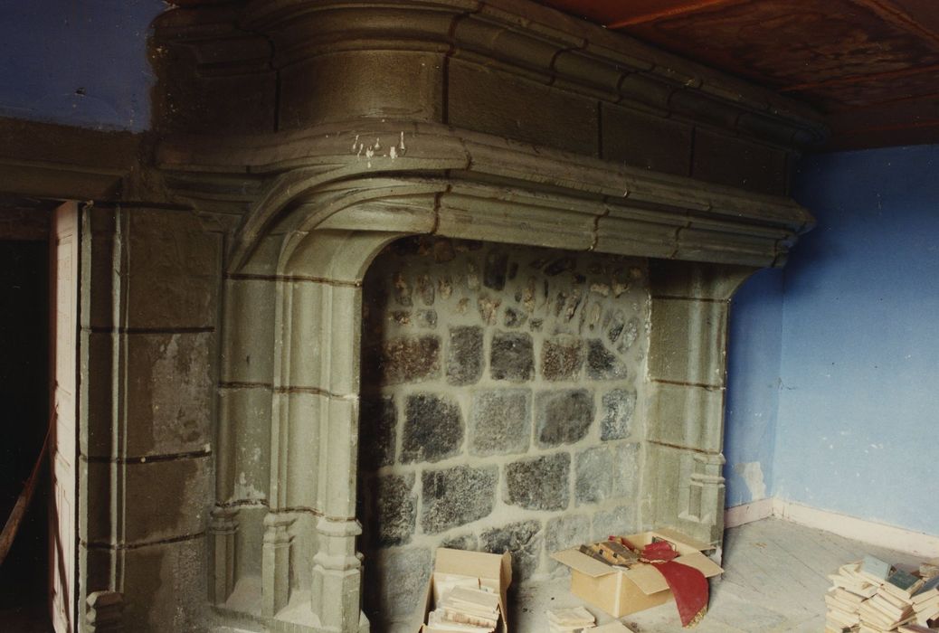 Château fort : 1er étage, cheminée monumentale, vue générale