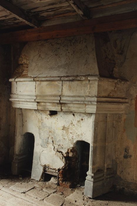 Château fort : Cheminée monumentale de la tour, vue générale