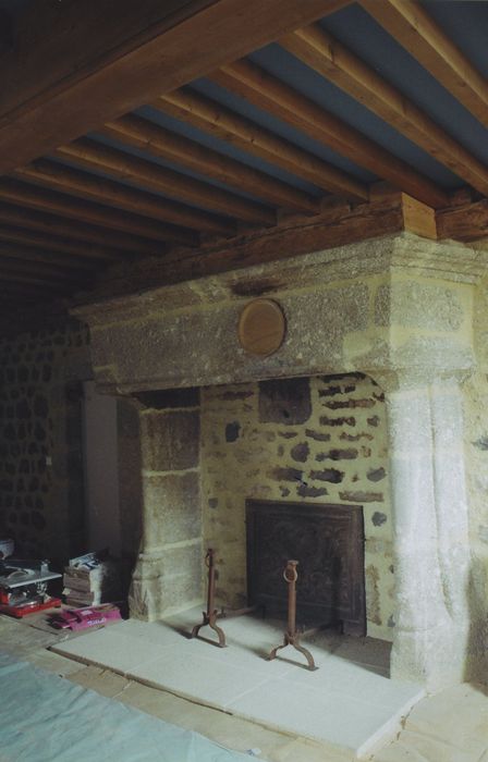 Maison Podevigne de Grandval : 2e étage, cheminée monumentale, vue générale