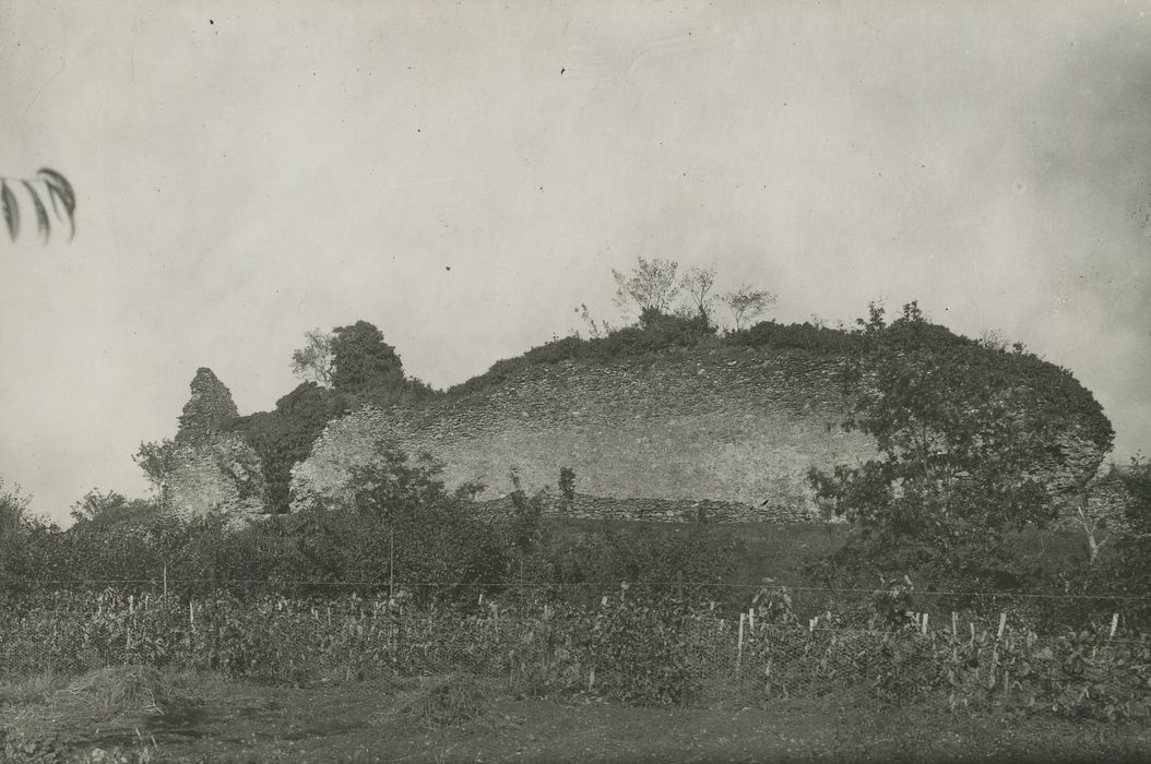 Restes du vieux château féodal : Vue générale des ruines depuis le nord-ouest