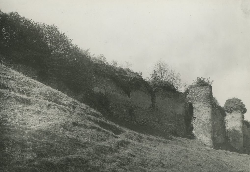 Restes du vieux château féodal : Vue générale des ruines depuis le nord-ouest