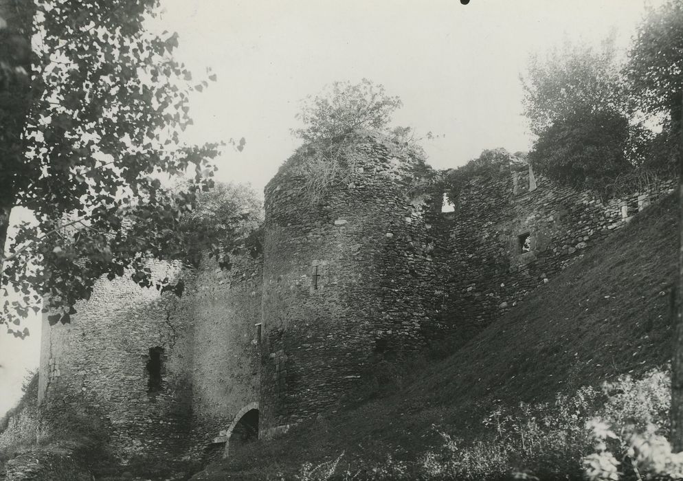 Restes du vieux château féodal : Vue générale des ruines depuis le sud-ouest