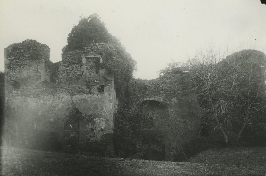 Restes du vieux château féodal : Vue partielle des ruines du logis