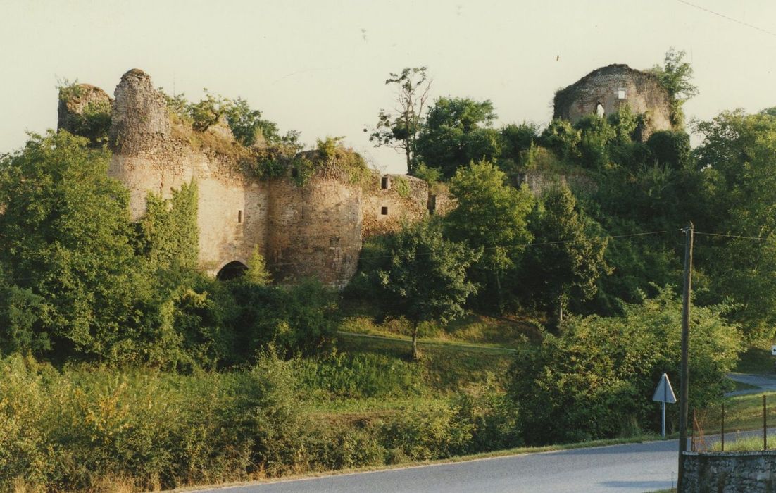 Restes du vieux château féodal : Vue générale des ruines depuis le nord-ouest