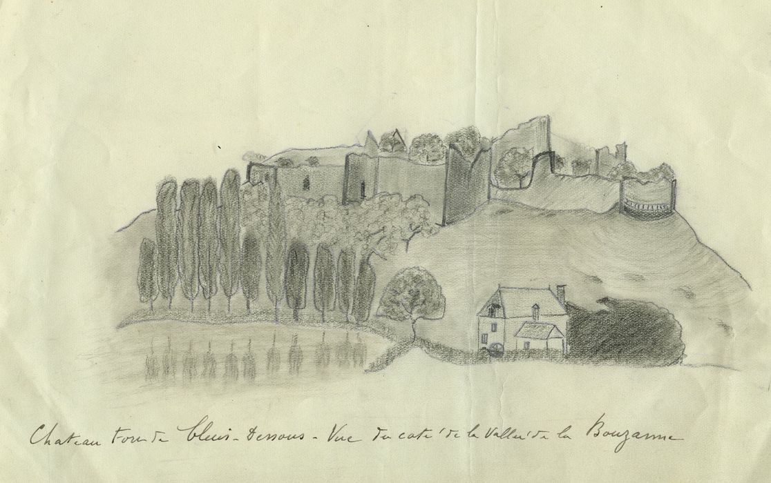 Restes du vieux château féodal : Vue générale des ruines