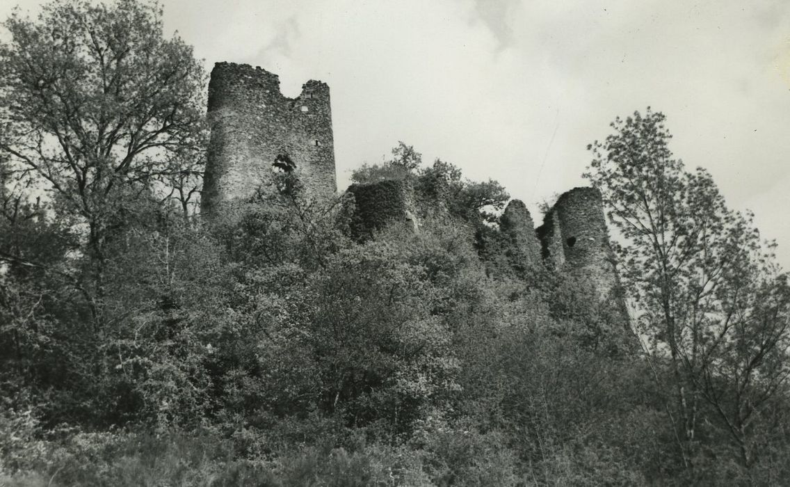 Ruines du château fort de Merle ou de Chaule : Vue générale des ruines du château depuis le sud-ouest