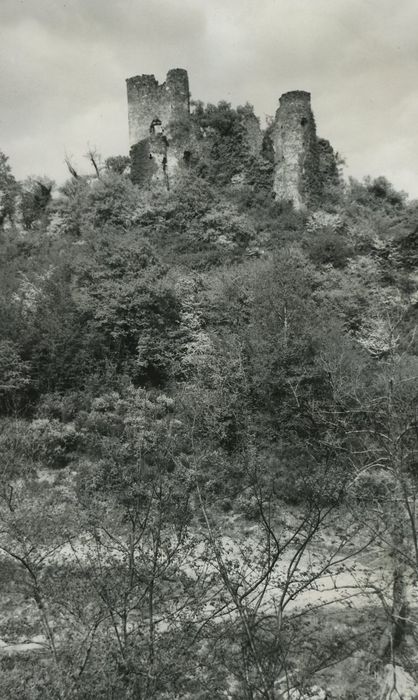 Ruines du château fort de Merle ou de Chaule : Vue générale des ruines du château depuis l’ouest