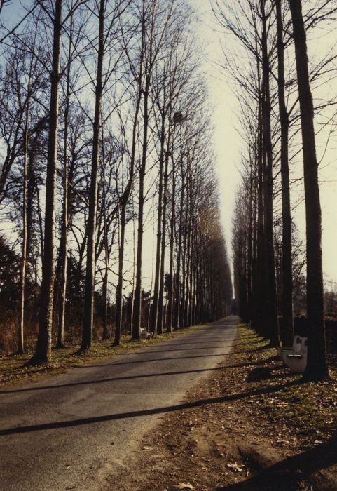 Allée de Tivoli, vue générale