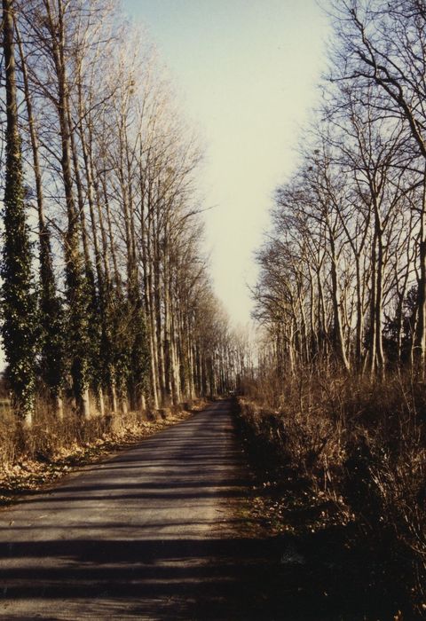 Allée de Frapesle, vue générale