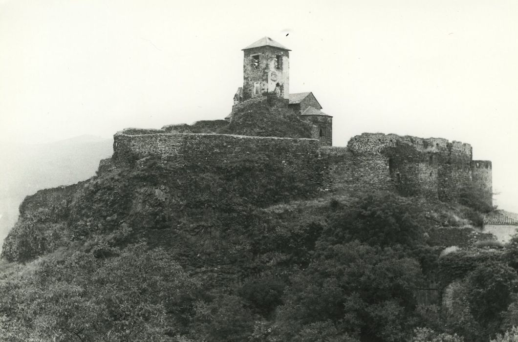 Château et sa chapelle : Vue générale du site depuis le Sud-Est