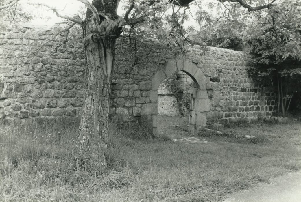 Château de Salcrupt : Mur d’enceinte et portail sud, vue partielle