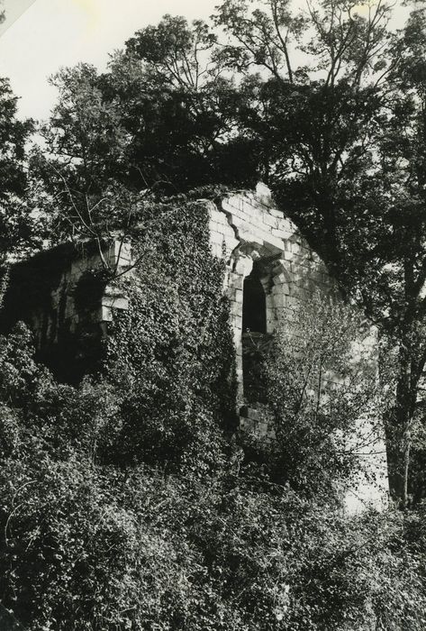 Ancien prieuré de Puychevrier : Chapelle, façade occidentale, vue partielle