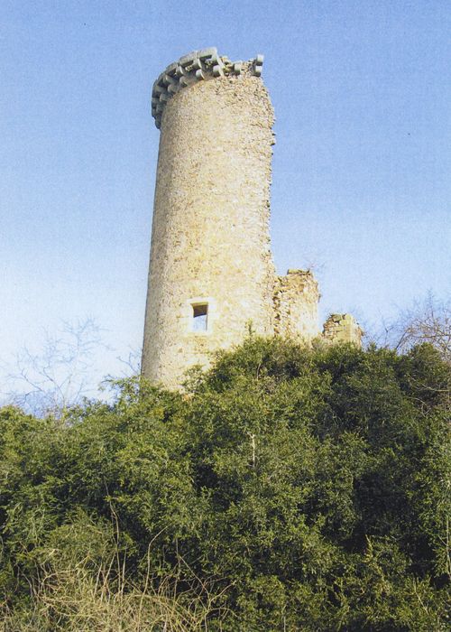 Château médiéval : Vue partielle des ruines