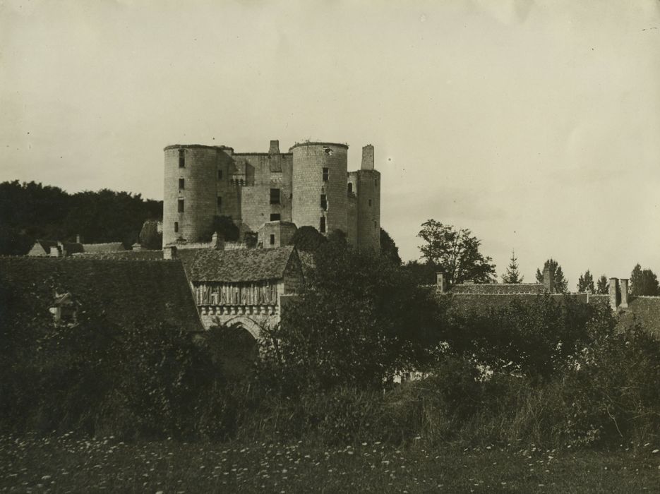 Ruines du château : Vue générale des ruines dans leur environnement