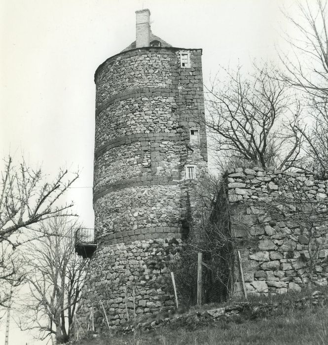 Château fort : Donjon, vue générale depuis le Sud