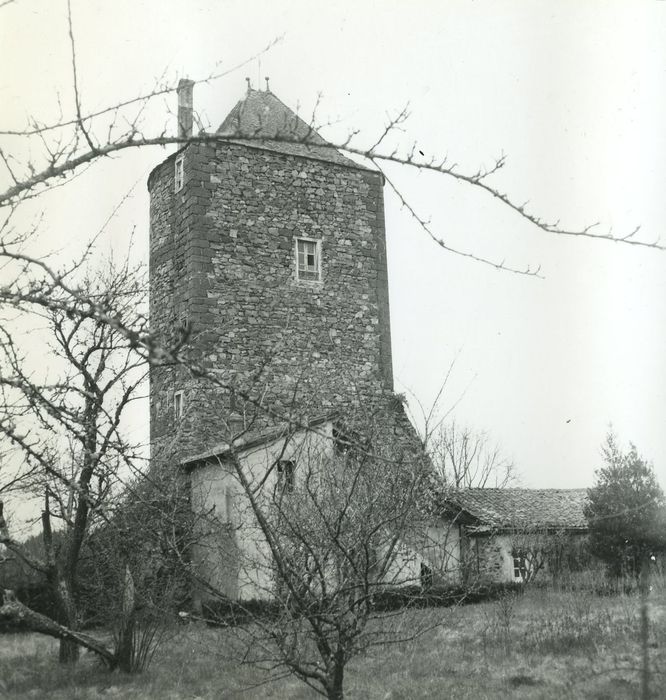 Château fort : Donjon, vue générale depuis le Nord