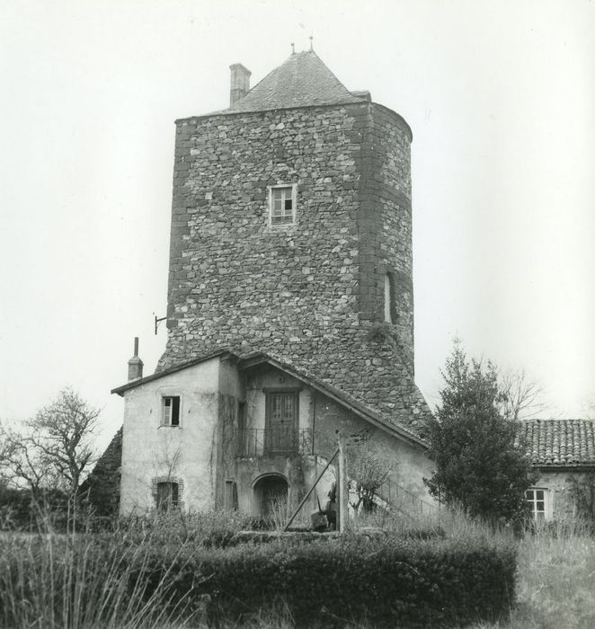 Château fort : Donjon, vue générale depuis le Nord