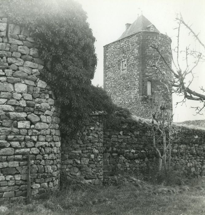 Château fort : Donjon, vue générale depuis le Nord-Est