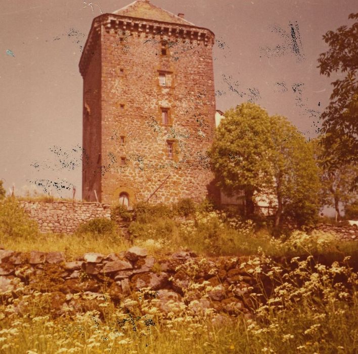 Château fort de Leybros : Elévation ouest, vue générale