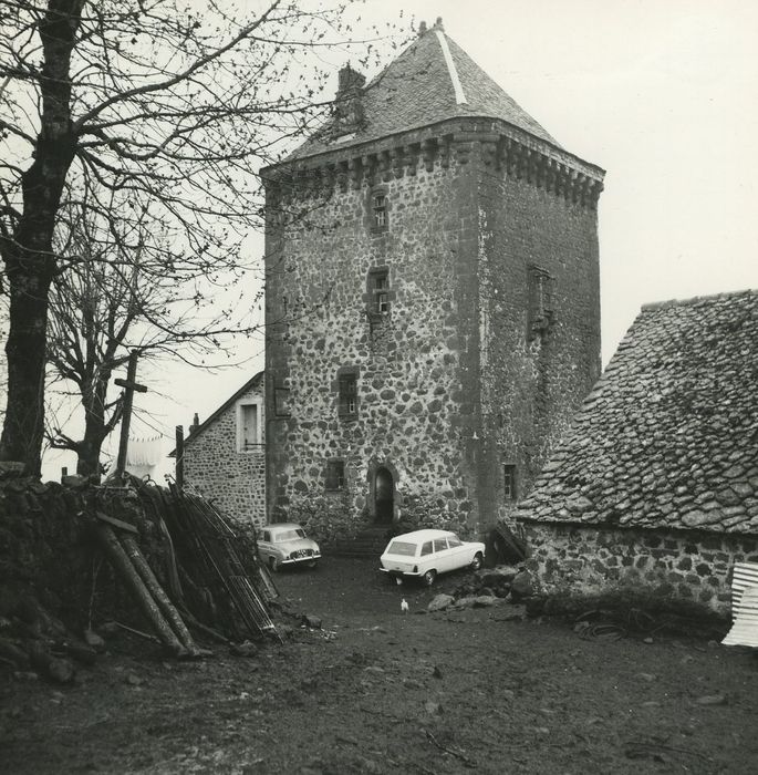 Château fort de Leybros : Elévations nord et est, vue générale