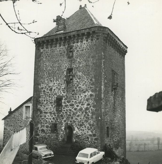 Château fort de Leybros : Elévations nord et est, vue générale