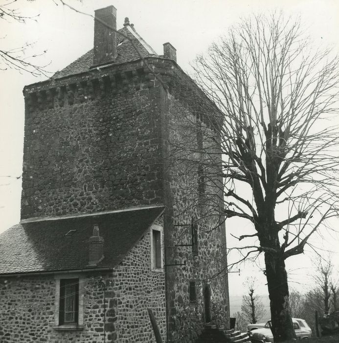 Château fort de Leybros : Elévations sud et est, vue générale