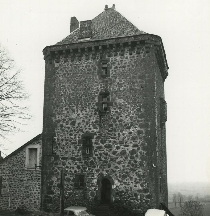 Château fort de Leybros : Elévation est, vue générale