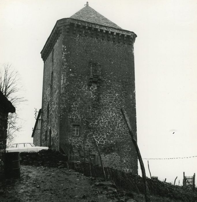 Château fort de Leybros : Elévation nord, vue générale