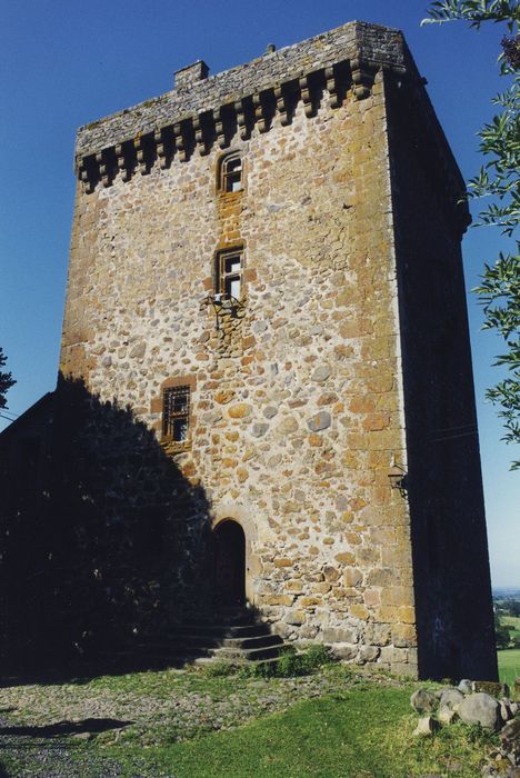 Château fort de Leybros : Elévation est, vue générale