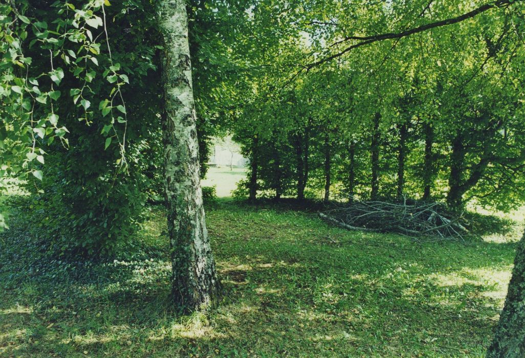 Couvent du chapitre de Saint-Chamant : Charmille dans l’enclos occidental, vue générale