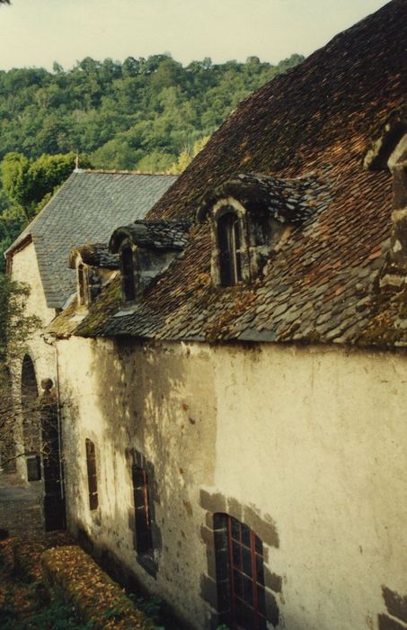 Château de Saint-Chamant : Communs, façade ouest, vue partielle