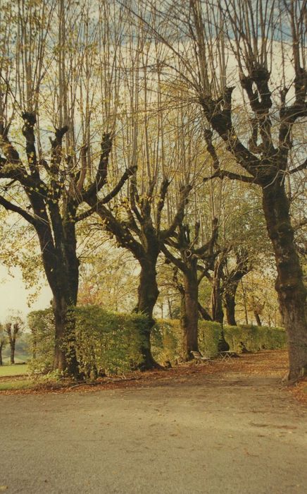 Château de Saint-Chamant : Parc, allée de tilleul nord, vue partielle