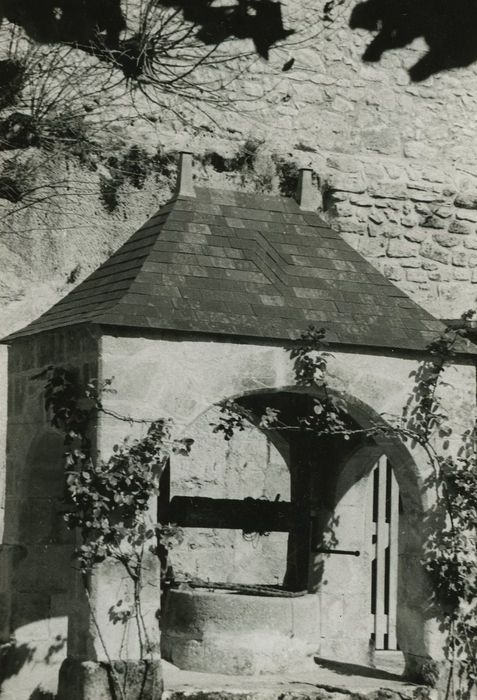 Château de la Chatonnière : Puits couvert, vue générale