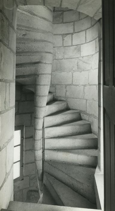 Château de la Chatonnière : Escalier à vis non localisé, vue partielle