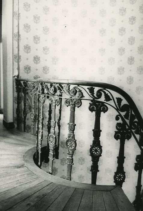 Maison dite Le Belvédère : Escalier principale, détail de la rampe en fer forgé