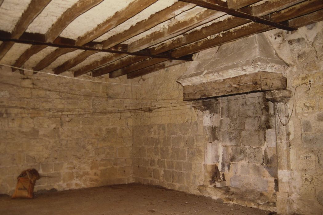 Château de Bossay : 3e étage, salle salle, cheminée monumentale, vue générale