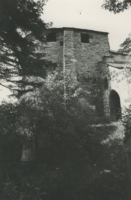 Eglise Saint-Roch de Roche-Charles : Façade latérale nord, vue partielle