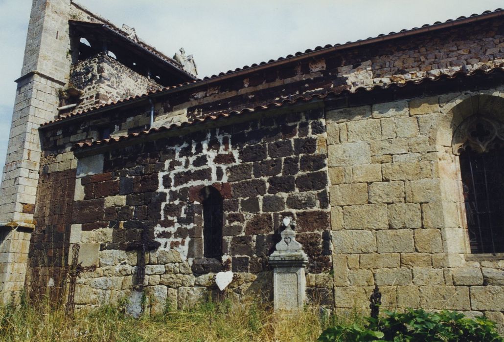 Eglise Notre-Dame de l'Assomption : Façade latérale sud, vue partielle