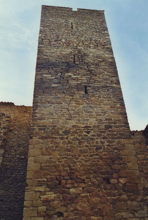 Château de Bosbomparent : Donjon, élévation est, vue partielle