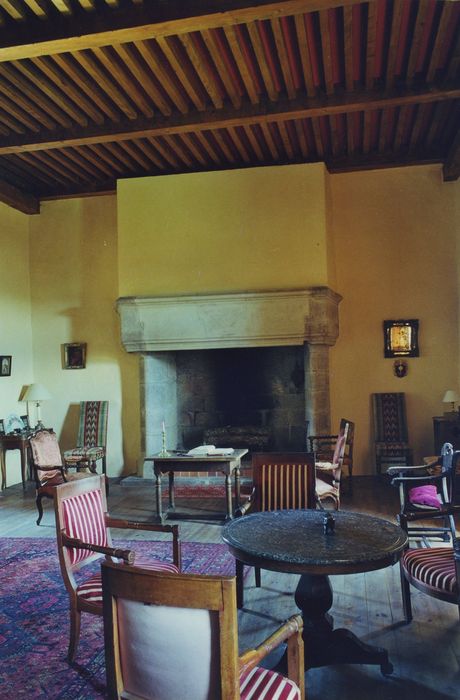 Château de Bosbomparent : 1er étage, grand salon, cheminée monumentale, vue générale