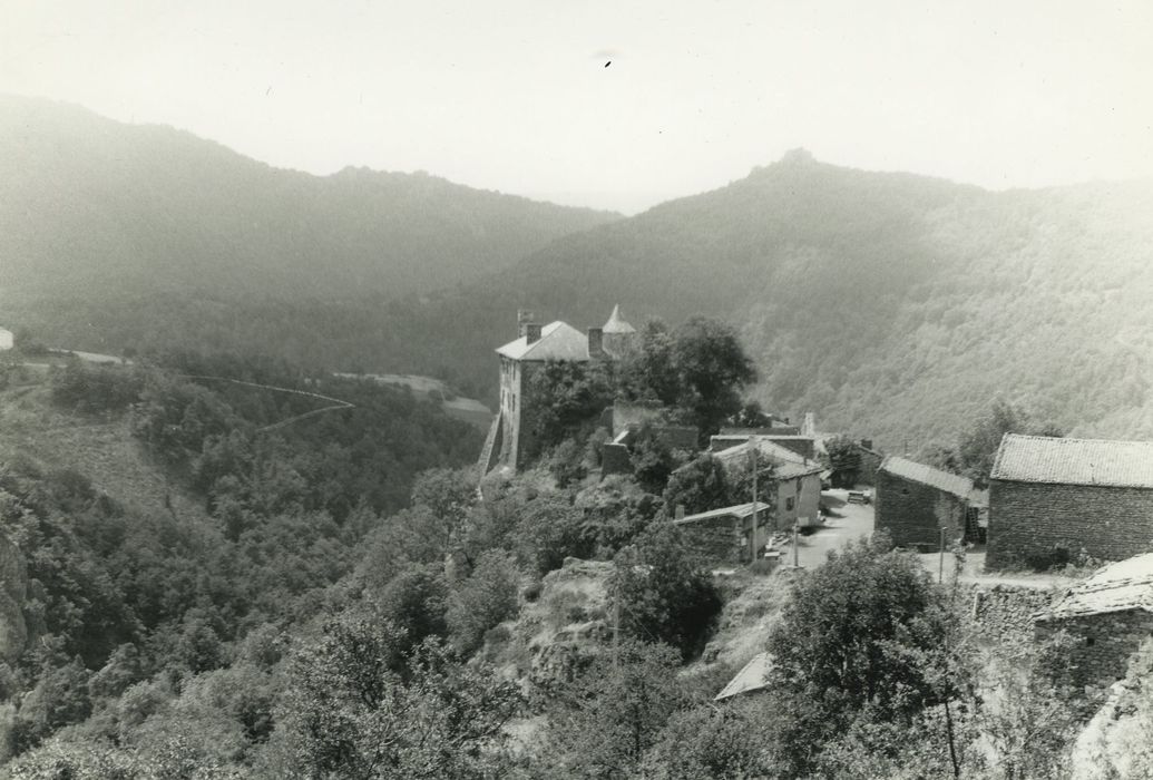 Château : Vue générale du château dans son environnement depuis le Nord