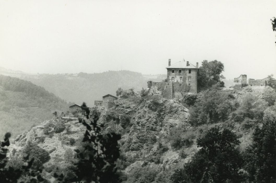 Château : Vue générale du château dans son environnement depuis l’Est