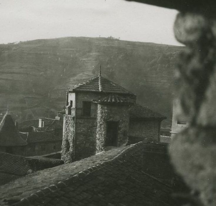 Château d'Aurec : Tour d’escalier de la cour intérieure, vue partielle