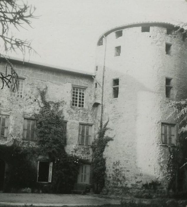 Château d'Aurec : Donjon, vue générale