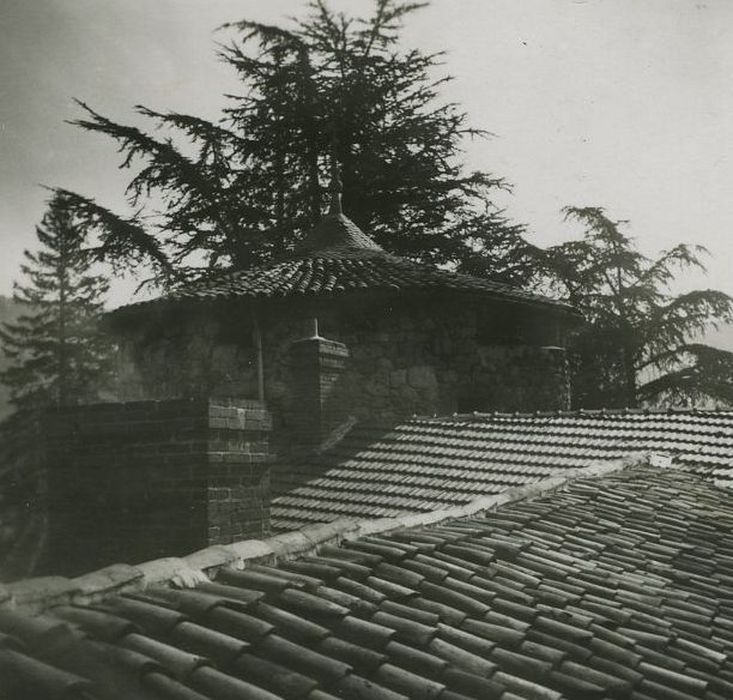 Château d'Aurec : Tour d’escalier de la cour intérieure, vue partielle de la toiture