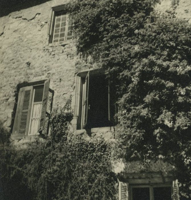 Château d'Aurec : Façade non localisée, vue partielle