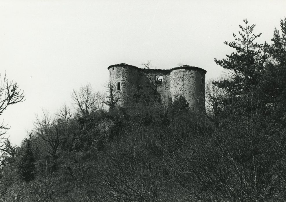 Château de Servières : Vue partielle du château dans son environnement depuis le Sud-Est